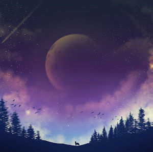 Meet your Posher, New